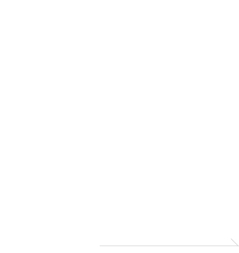 結果も癒しも叶えるインディバサロン