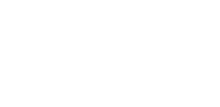INDIBA SALON Lilly